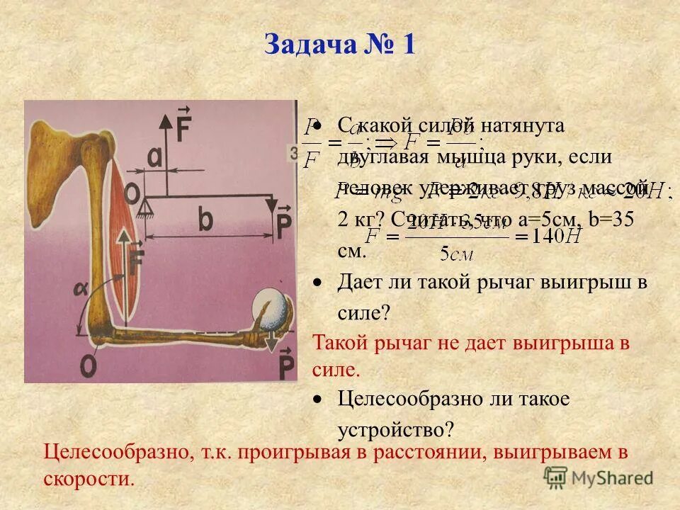 рычаг какой выигрыш в силе