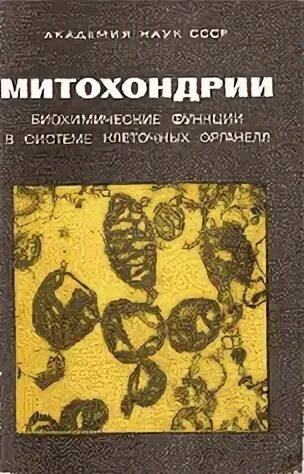 Материалы симпозиума
