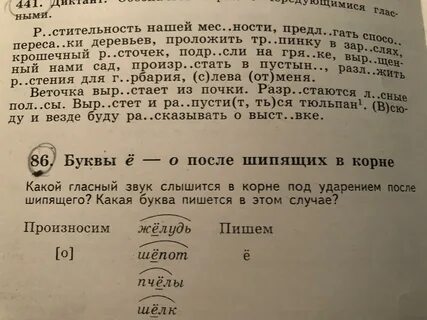 Слово в котором основа равна корню