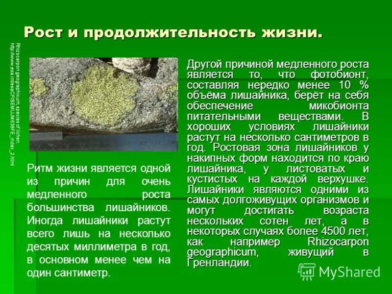 Спящие фолликулы волос. Впереди в голубоватой светящейся мгле причастный оборот. Зоны роста костей. Долго сидеть за компьютером опасно. Ребенок недостаток навыков.