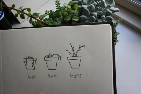 The plant keep