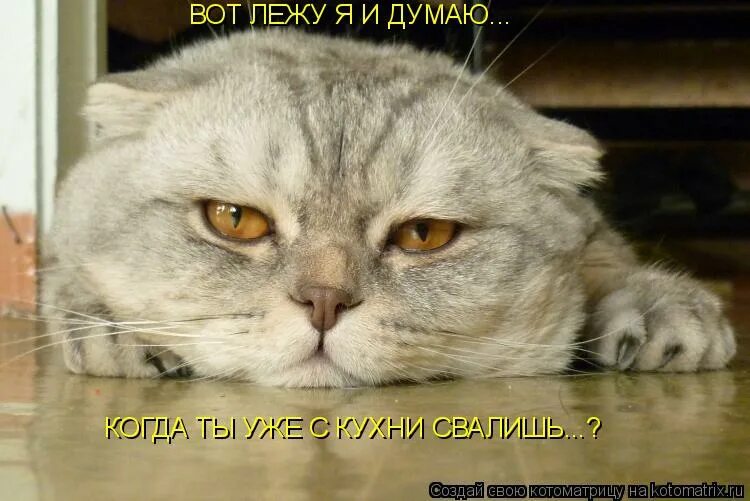 Неужели нету