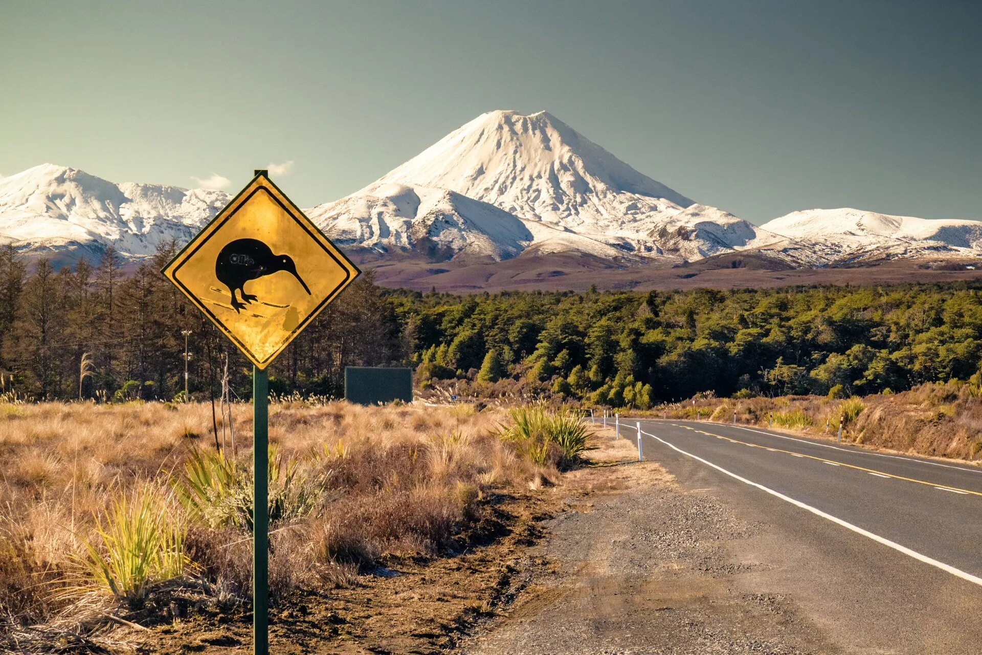 Mark in new zealand