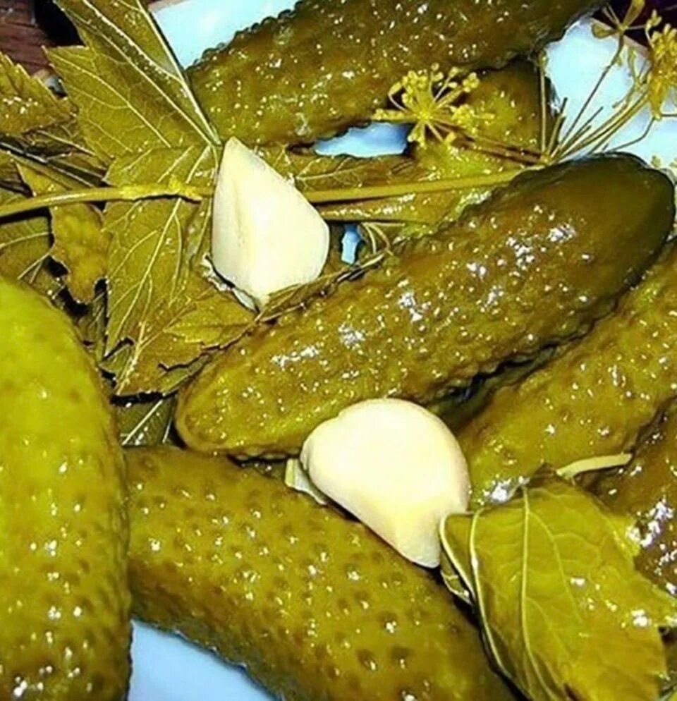Соленые огурцы фото