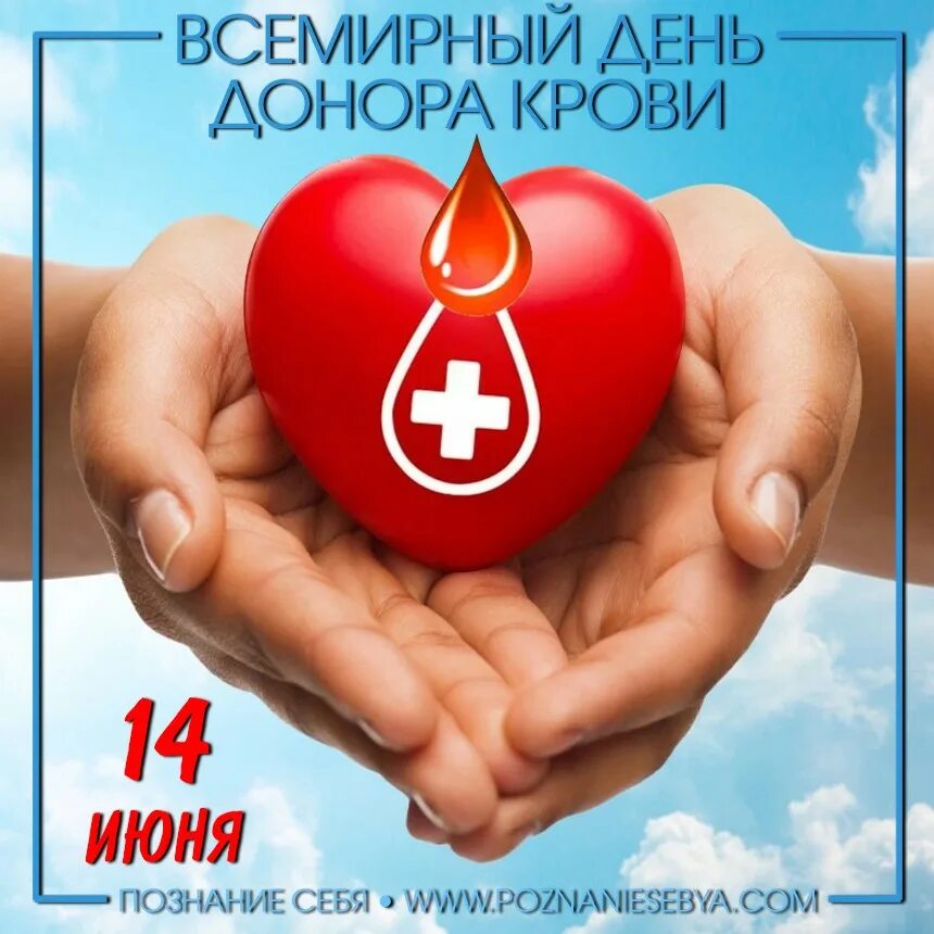 День донора в россии в 2024. Всемирный день донора крови. День донора 14 июня. С днем донора поздравление. Всемирный день донора поздравления.