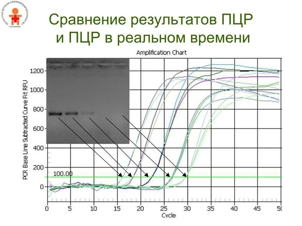 Тест реального времени. График Реал тайм ПЦР. ПЦР Реал тайм методика. График амплификации ПЦР. Интерпретация ПЦР графиков.