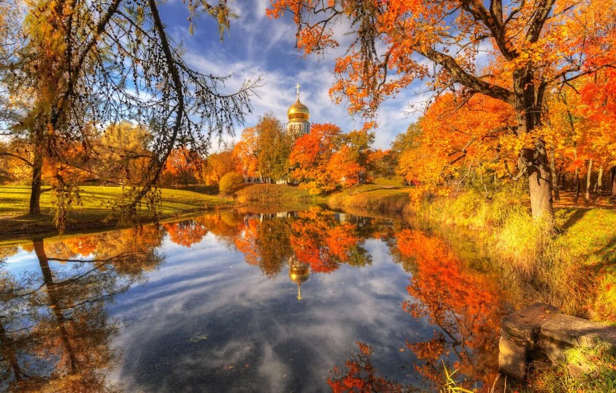 Осенний пейзаж. Красивая осень. Природа осень.