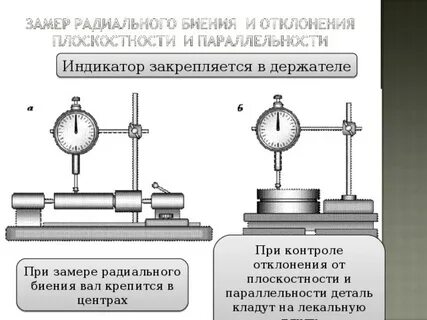 Неподвижно замереть