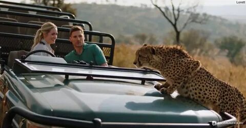 Safari romance