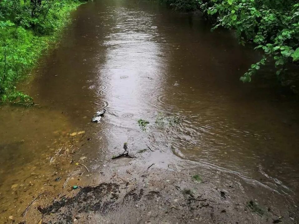 Наибольший подъем в реке