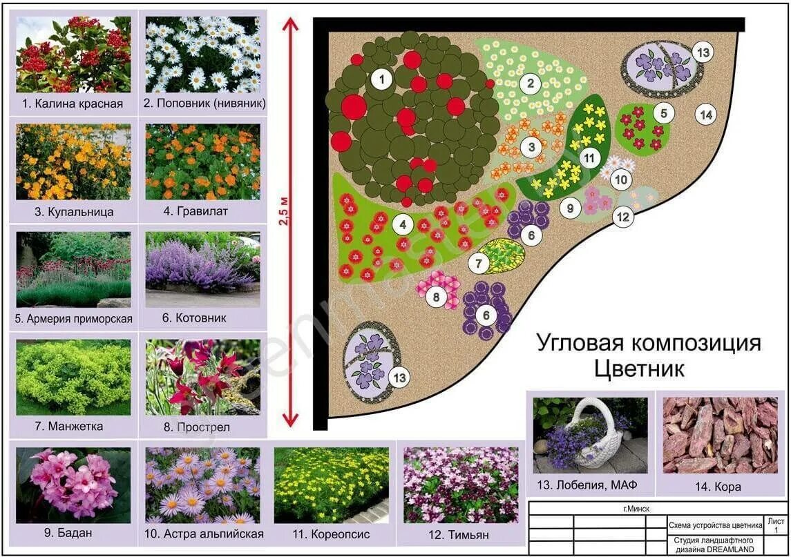 Миксбордеры схемы посадок многолетники. Миксбордеры в ландшафтном дизайне схемы. Схема миксбордера непрерывного цветения. Миксбордер непрерывного цветения многолетников схема. Местоположения растений