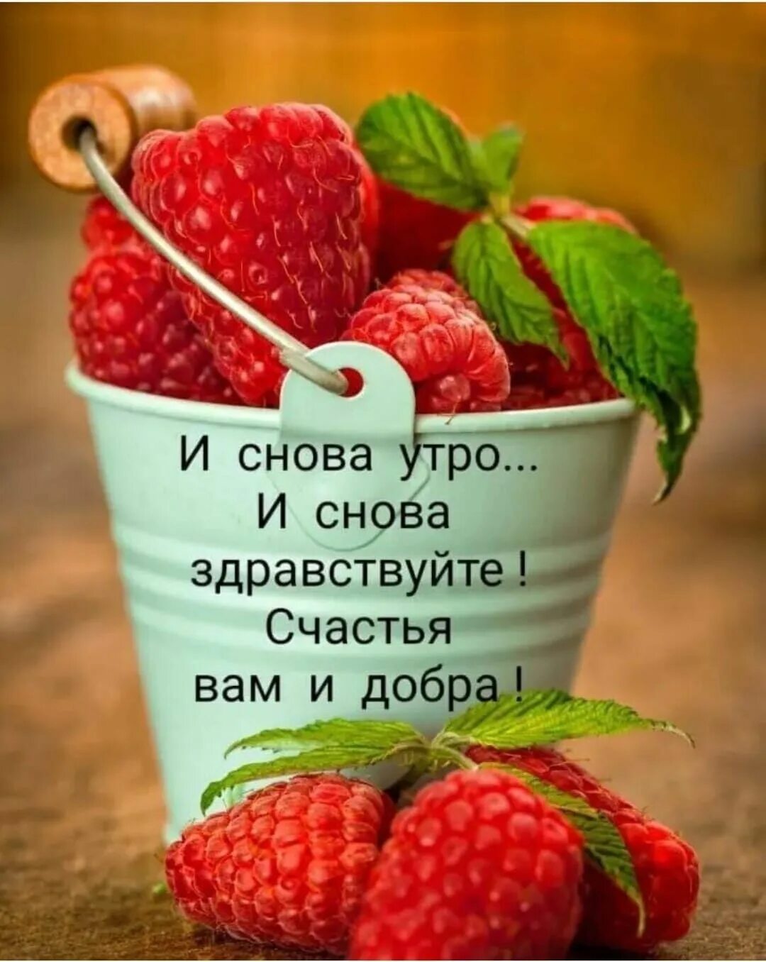 Всем людям доброе утро картинки. Всем людям доброе утро картинки