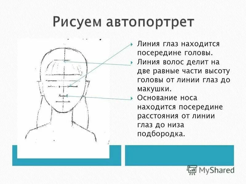 Схема построения головы человека. Правила рисования автопортрета. Ширина головы человека. Правила рисования головы человека. Портрет человека 4 класс изо презентация