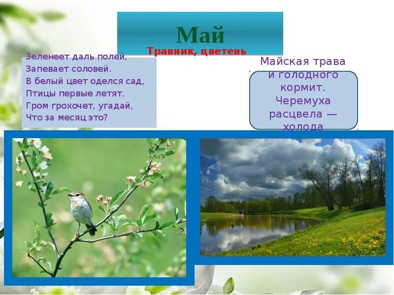 Цветень идет молодец