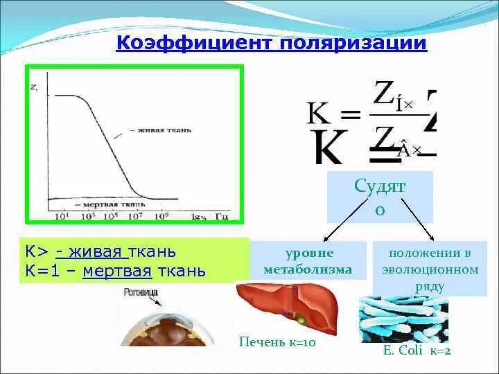 Показателя поляризации. Коэффициент абсорбции изоляции трансформатора. Коэффициент диэлектрического поглощения. Коэффициент абсорбции трансформатора норма. Коэффициент абсорбции диэлектрика.