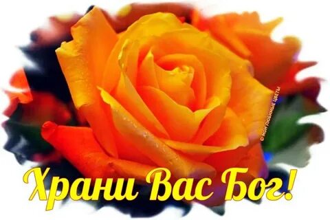 Многая и благая лета картинки