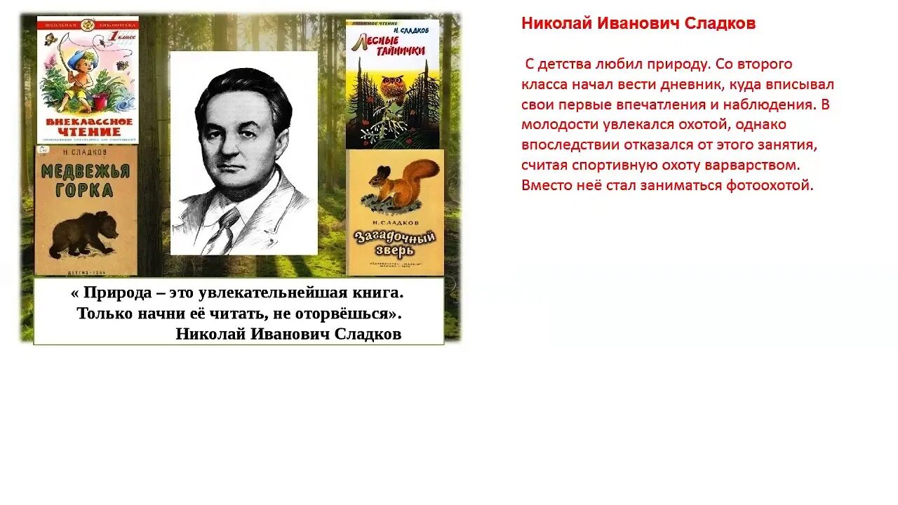 Рассказы Сладкова загадочный зверь. Рассказы сладкова 1 класс