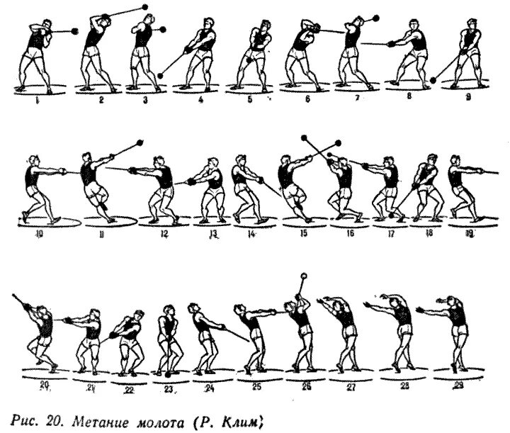 Метание молота в легкой. Метание молота в легкой атлетике. Фазы техники метания молота:. Метание молота в легкой атлетике фазы. Метание молота кинограмма.