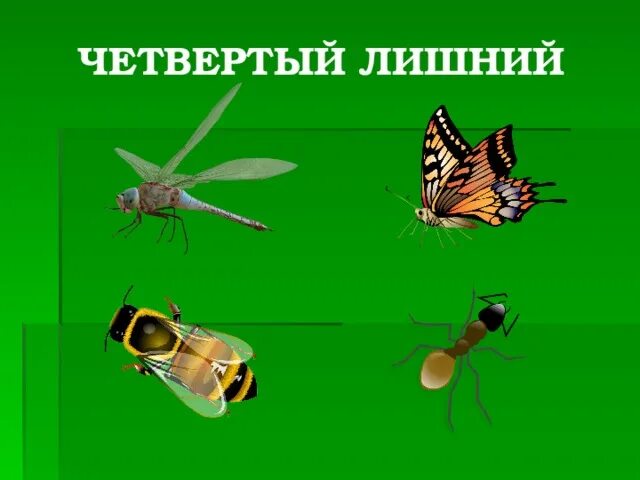 4 лишний слова. Карточки четвертый лишний. Игра четвёртый лишний в картинках. Для детей посуды найди лишнее. Укажите 4 лишнее.