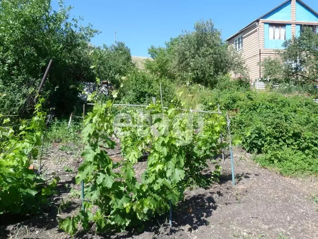 Погода в сосновке саратовский район саратовская область. Сосновка Саратовский район. Сосновка Красноармейский район Саратовская область. Дача в селе Сосновка. Село Сосновка Саратовская область Марксовский район.