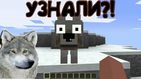 Быть волком в майнкрафте