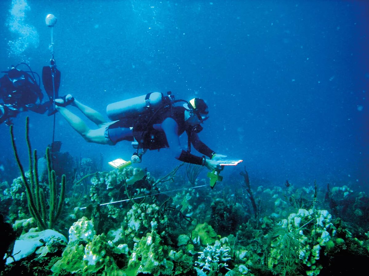 Исследование глубин океанов
