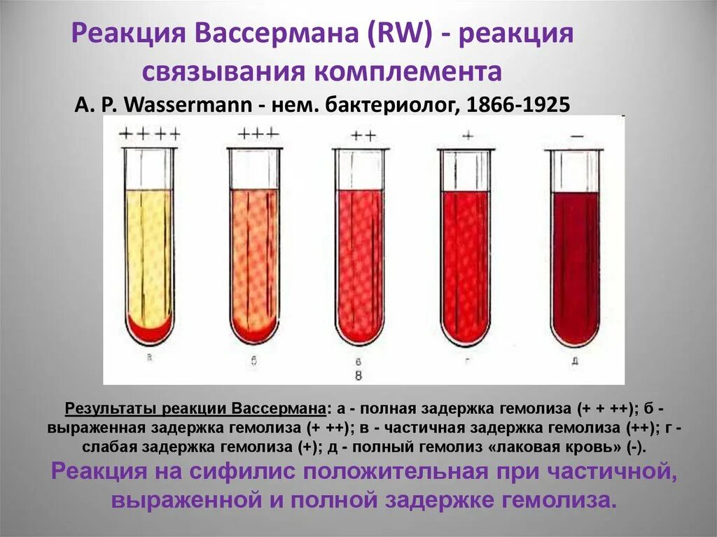 Объясните результат реакции. Гемолиз эритроцитов в пробирке. Реакция Вассермана серологическое исследование. Реакция гемолиза микробиология. Реакция Вассермана гемолиз.