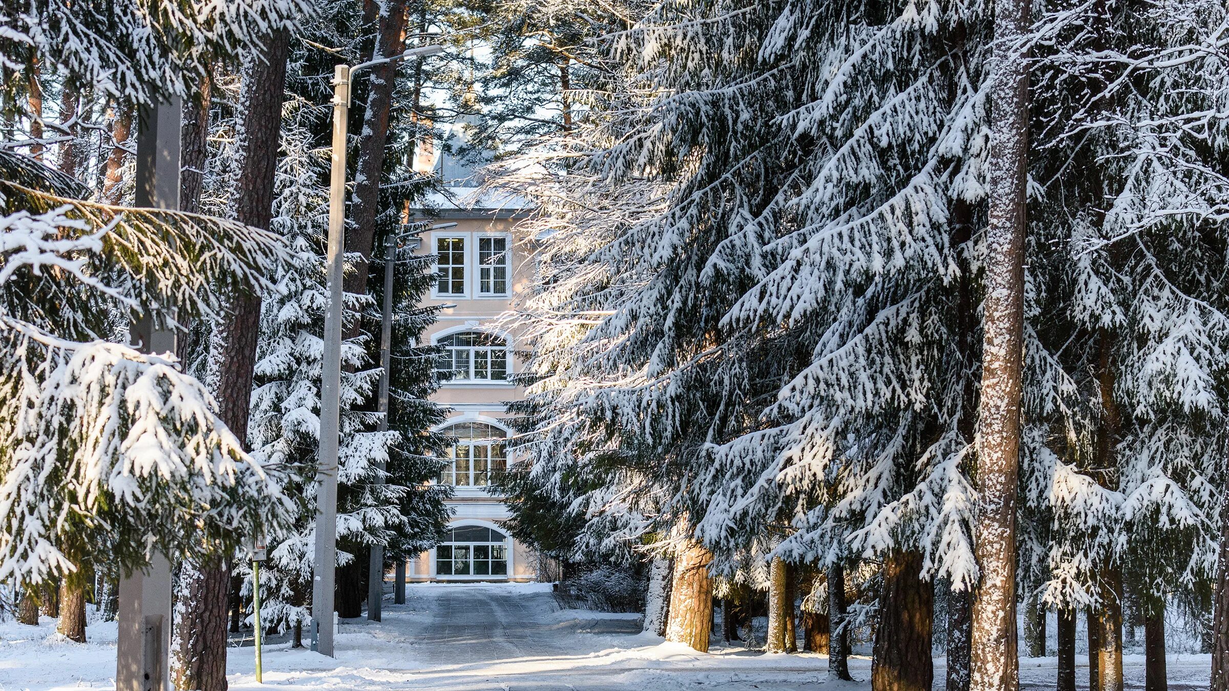 Сестрорецкий курорт путевки. Сестрорецк санаторий Сестрорецкий курорт. Санаторий Сестрорецкий разлив. Санаторный пансионат Сестрорецк. Санаторий в Сестрорецке Ленинградской области.