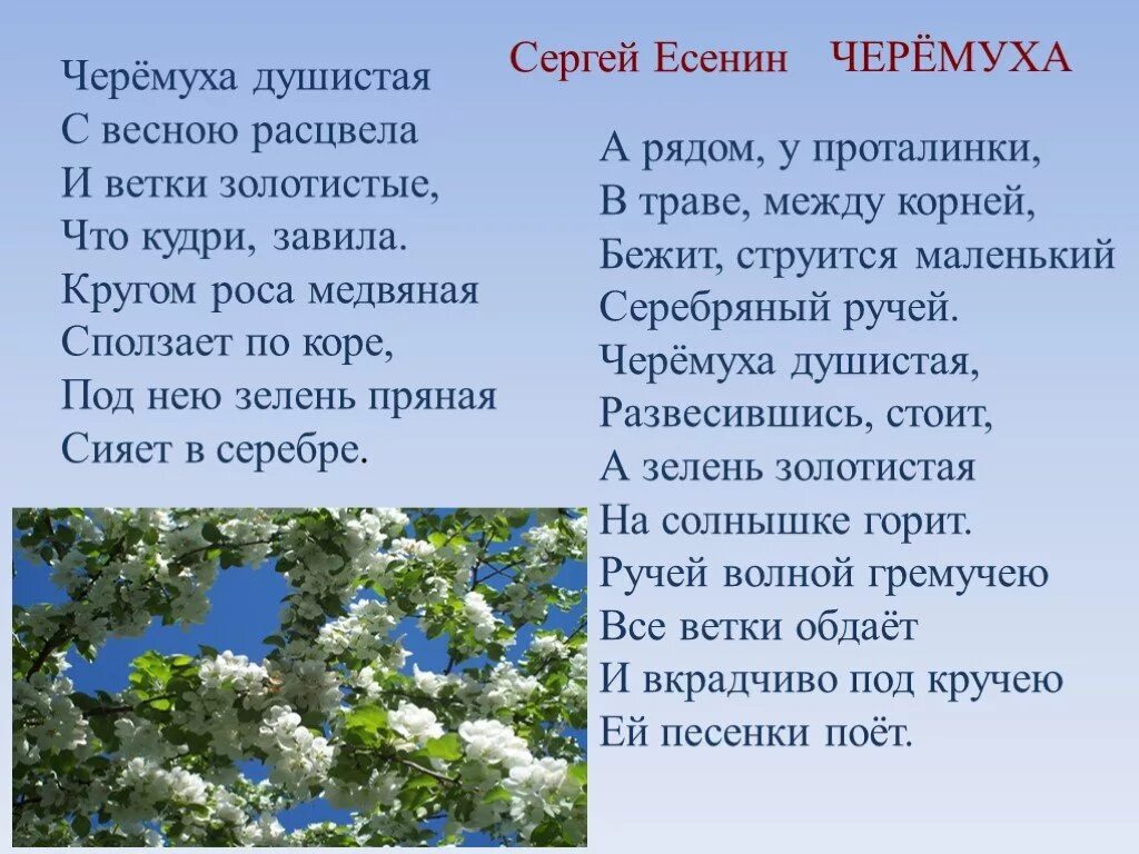 Бежит струится маленький серебряный ручей
