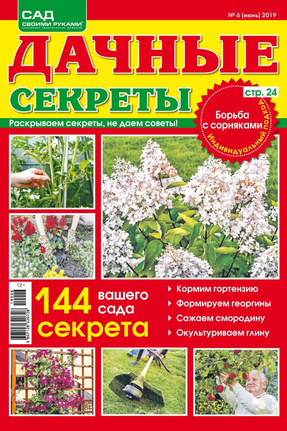 Дачные секреты. День посадки леса. Дача сад огород. Садовый на июнь. Календарь огородника на июнь.