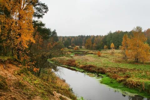 Окский рязанская область