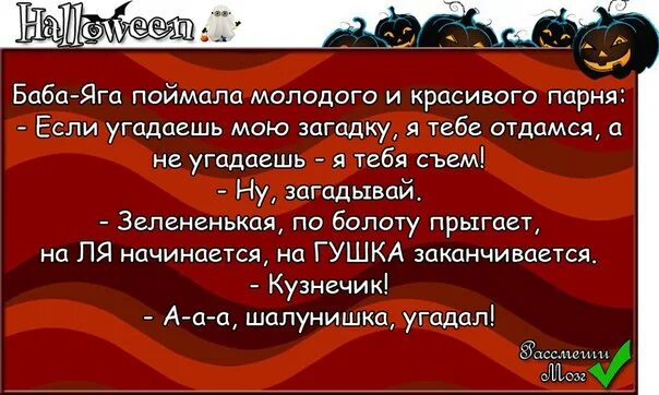 Небритый анекдот. Баба Яга поймала молодого и красивого. Баба Яга поймала молодого и красивого парня. Анекдоты про бабу Ягу. Баба Яга поймала молодого и красивого парня анекдот.