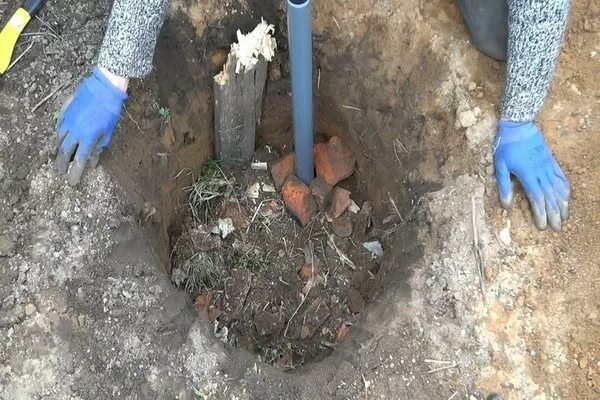 Как подготовить яму для винограда. Подготовка ямы для посадки винограда. подготовка ямы для винограда. яма для посадки винограда. яма для посадквинограда.
