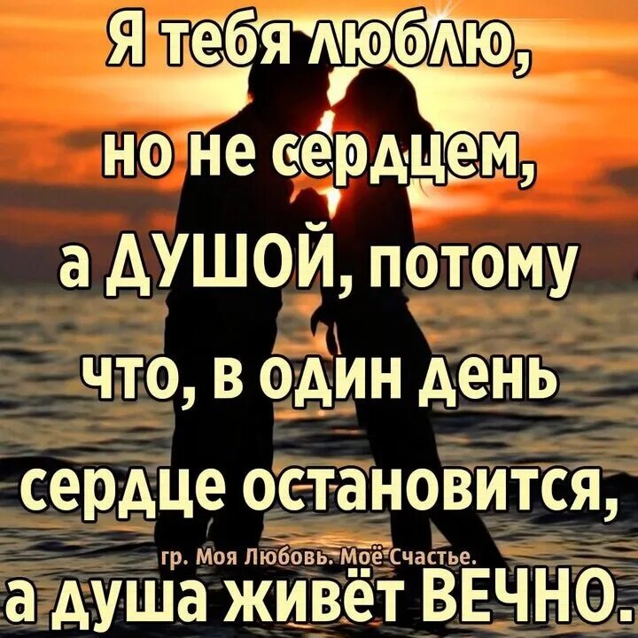 Остановитесь я влюбилась. Люблю тебя всем сердцем. Люблю тебя всей душой и сердцем. Всем сердцем и душой. Люблю тебя всей душой.