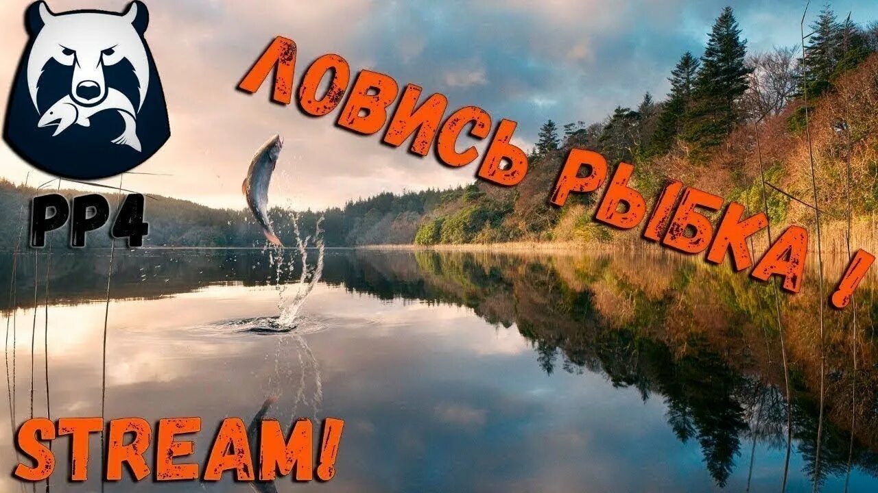 Русская рыбалка 4 русский язык. Russian Fishing 4 стрим. Русская рыбалка 4 стрим. Русская рыбалка 4 превью. Русская рыбалка 4 фон.