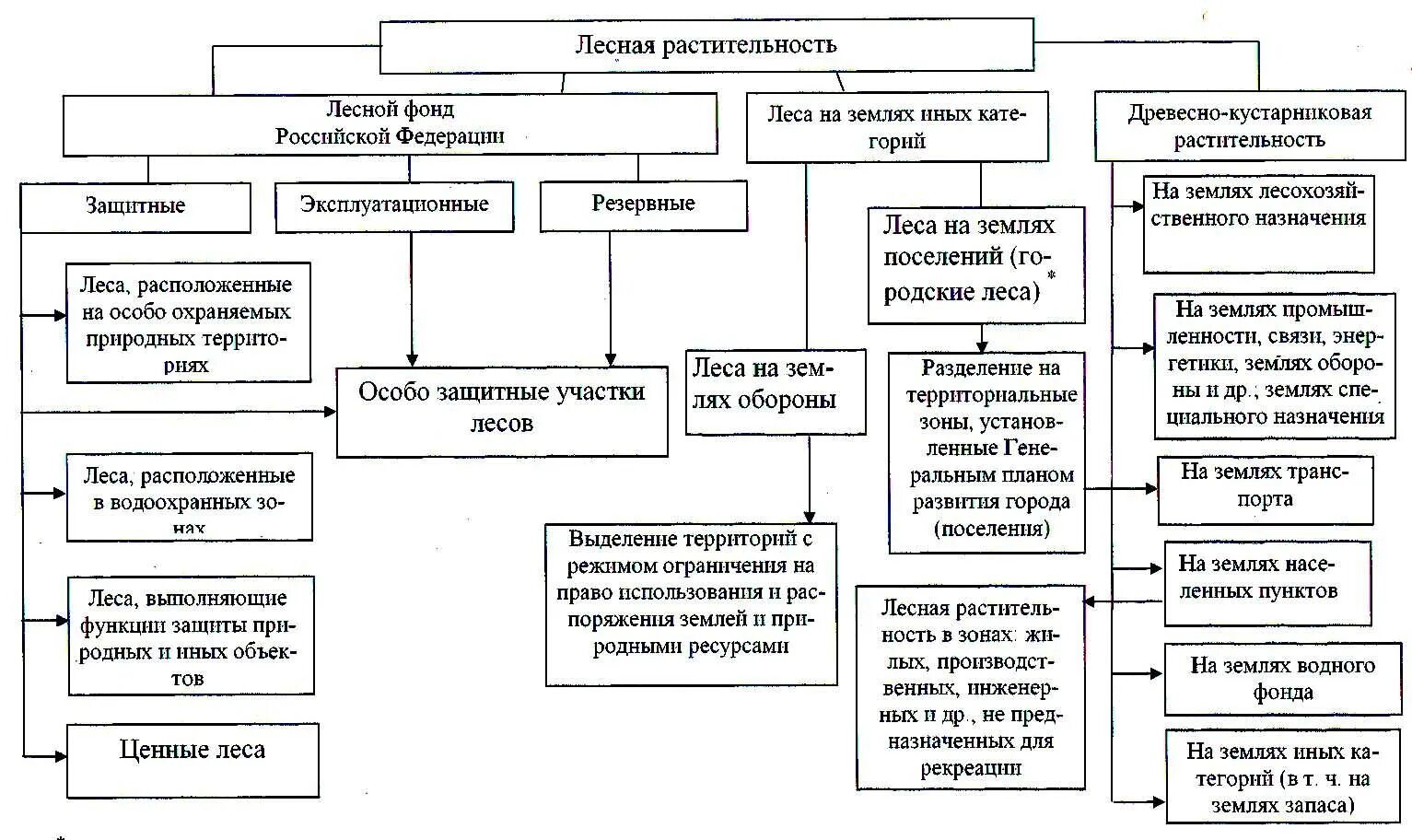 Лесной фонд подразделяется на леса