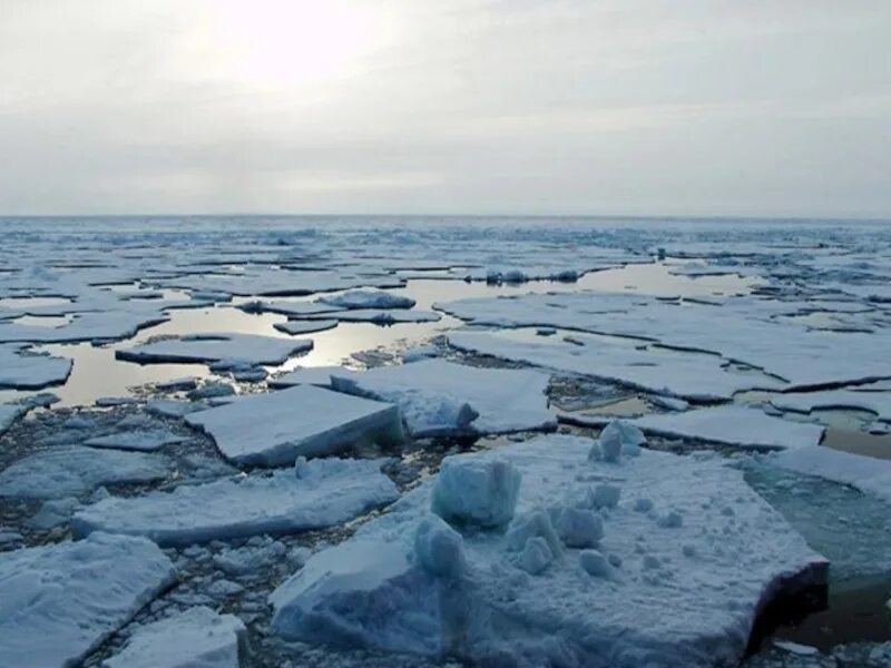 Арктические проблемы россии. Экология Арктики. Проблемы Арктики. Загрязнение Арктики. Экология севера.