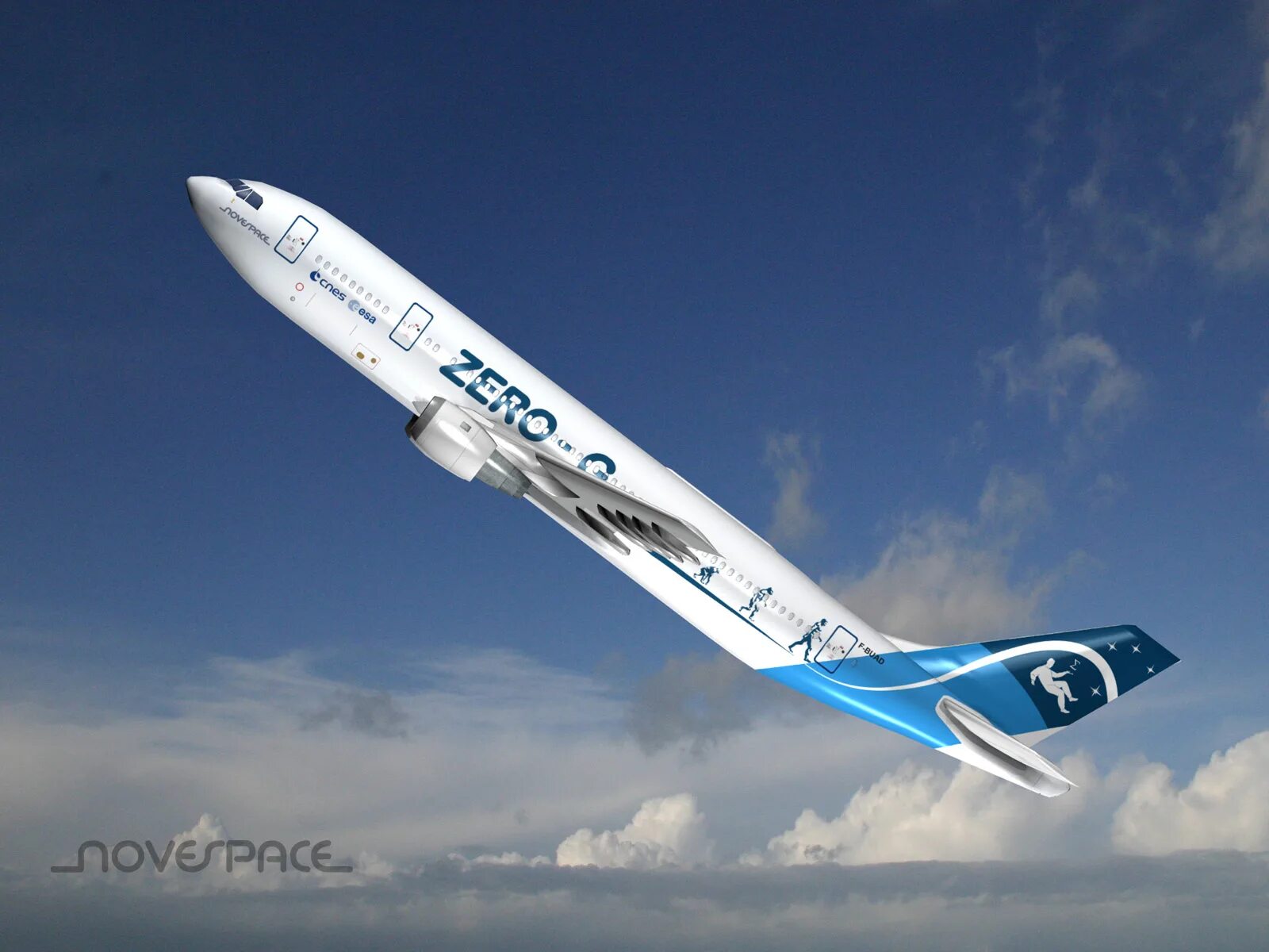 Зеро джи. Слейн келли. Открытый самолет. 727 zero g. Ноу ги джиу-джитсу.