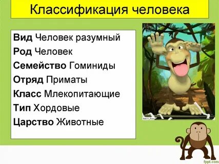 Систематика человека биология 9