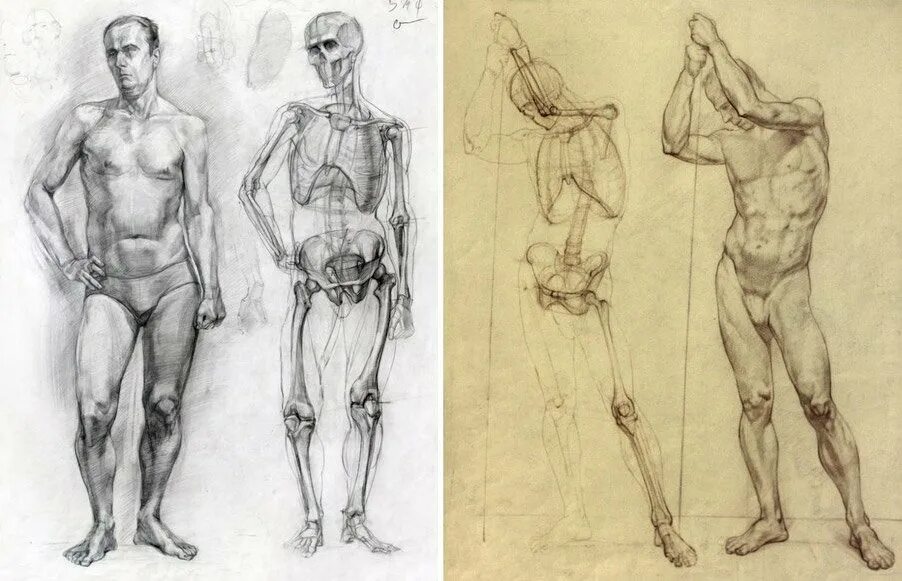 Контрапост Рыжкин. Могилевцев Экорше. Могилевцев анатомия фигуры человека. Рыжкин анатомия. Референс картины
