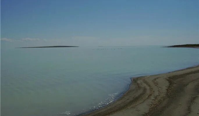 Торейские озера забайкальский край. Барун торей и зун торей. Озеро зун-торей даурский заповедник забайкальского края. Даурский заповедник озеро барун-торей. Озеро зун-торей забайкальский край.