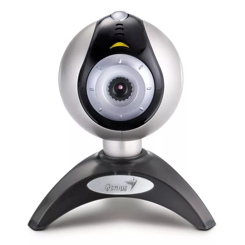 Iruin web camera