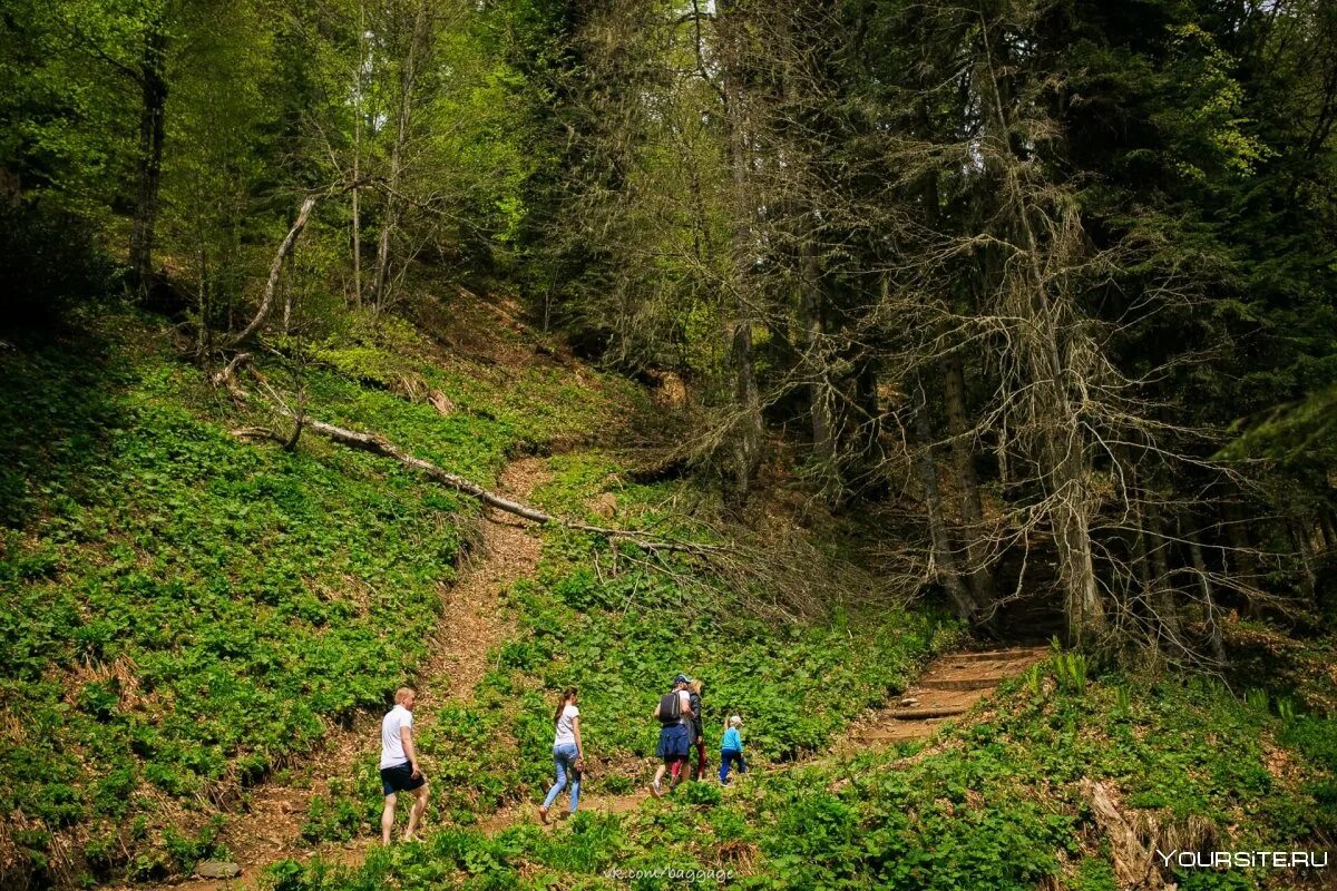 Заповедник нургуш заячья поляна. Экотропа в тайцах в усадьбе. Экологическая тропа чегет поляна нарзанов. Долина нарзанов чегет экологическая тропа. Экологическая тропа азау.