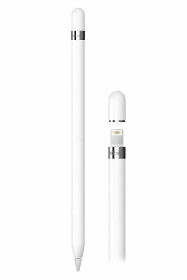 Ручка apple pencil. Ручка apple pencil. Стилус эппл инструкция распечатать развертка. Apple pencil 2 черный. Ручка apple pencil.