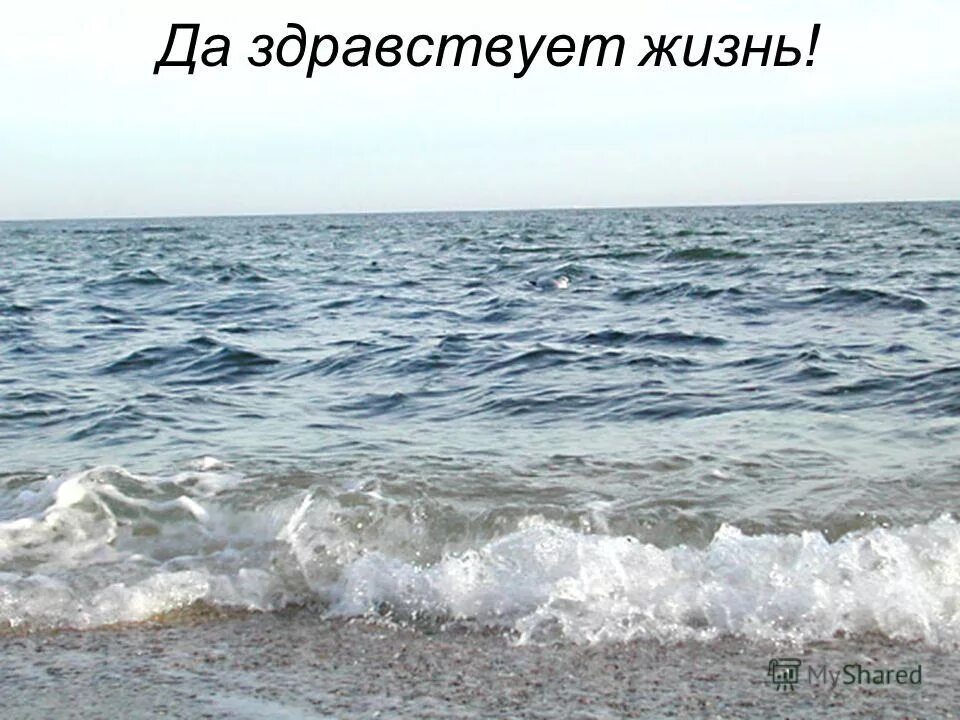 да здравствует жизнь картинки. да здравствует жизнь. здравствуйте о жизни. дизайн афиши выставки картин художников. девочка в поле.