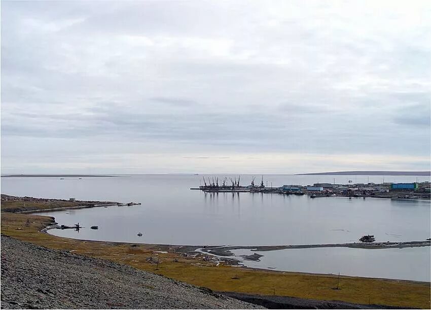 Бухта северная таймыр. Шпицберген лежбище моржей. Восточный берег таймыра. Бухта северная таймыр. Остров песчаный море лаптевых.