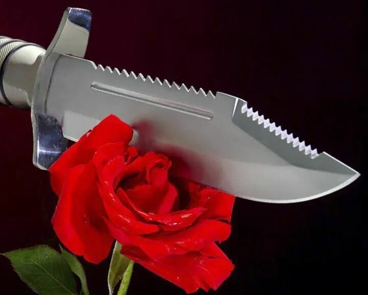 Cold steel crawford 1. Цветок и нож. Цветок и нож. Цветочный нож. Цветок и нож.