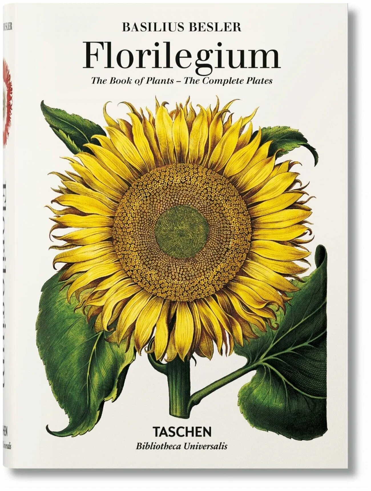 Базилиус Беслер. Hortus Eystettensis басилиус Беслер книга. Florilegium книга. Plant книга Taschen.