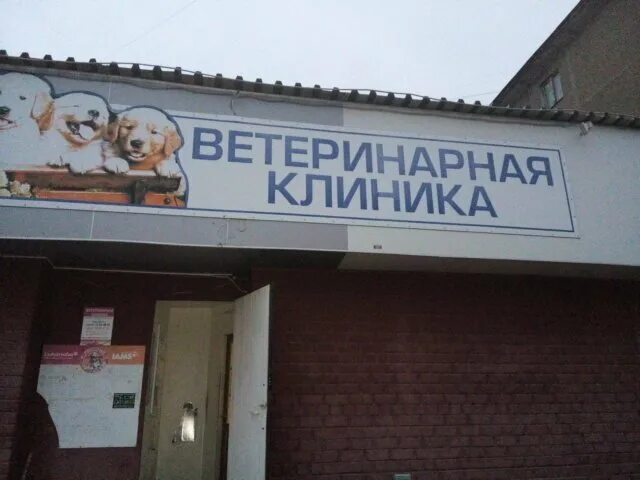 Ветеринарная больница орел. Ветклиника удомля. Ветеринарный врач. Скорая ветеринарная помощь. Ветклиника удомля.