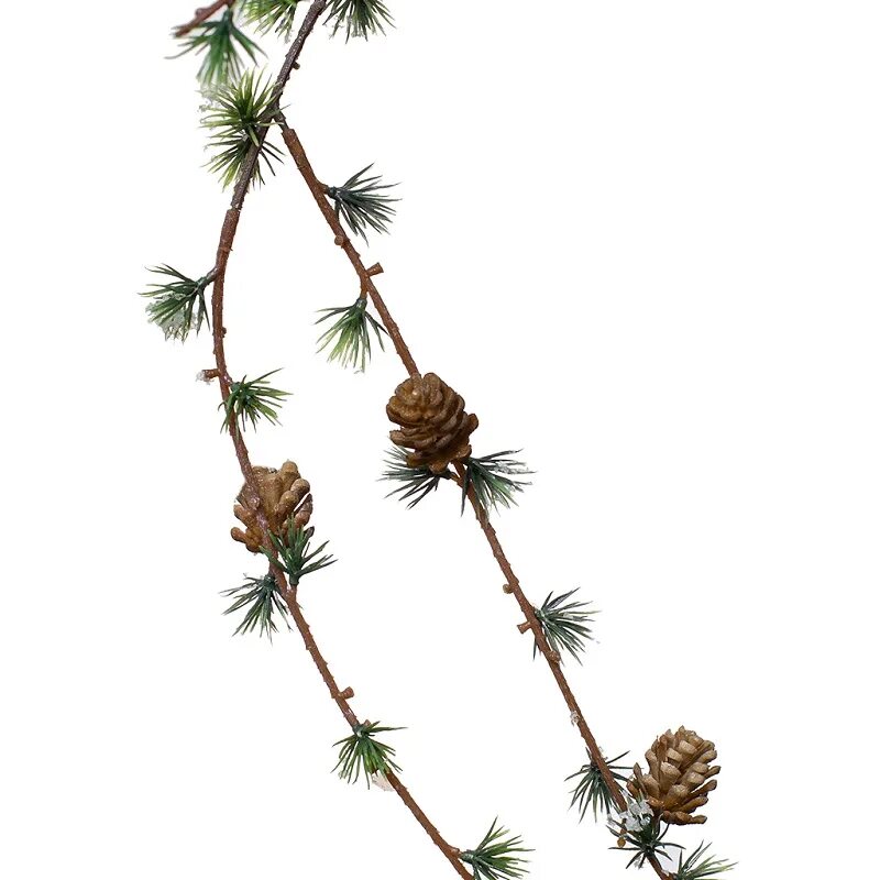 Лиственница ветка с шишкой. Лиственница сибирская зимой ветка. Ветки и шишки лиственницы. Ветка лиственницы с шишками. Шишка корейской сосны.